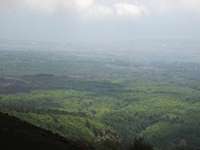 Monte Rinatu